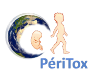 The perinatal period and toxic risks